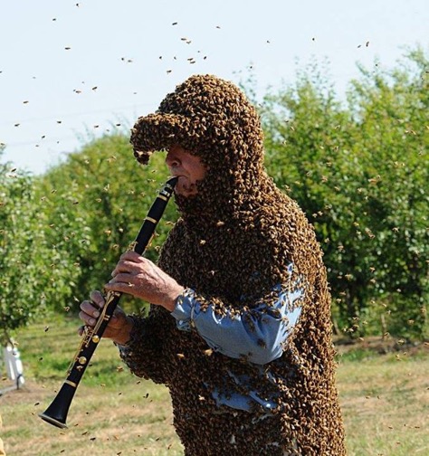 Bee clarinet